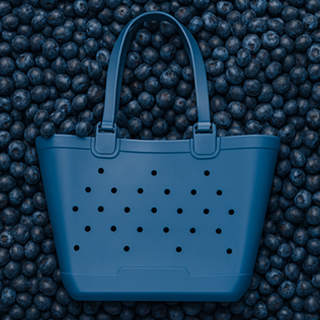 BLUEBERRIES 320X320